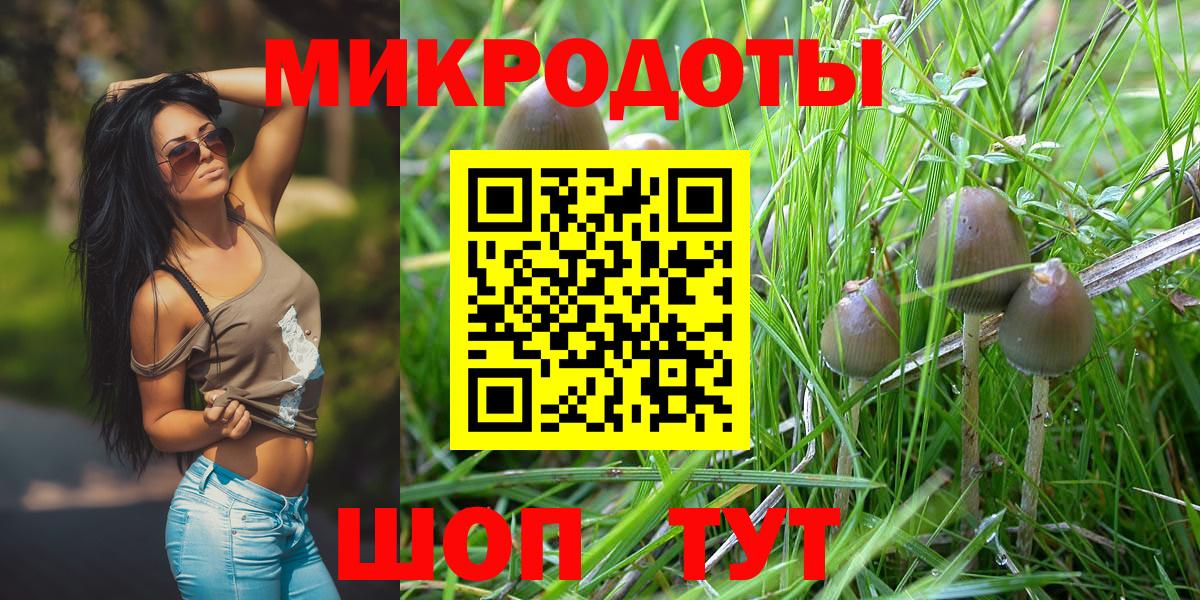 Псилоцибиновые грибы MAGIC MUSHROOMS  где продают наркотики  Копейск  Псилоцибиновые грибы ЛСД  Вход с VPN 